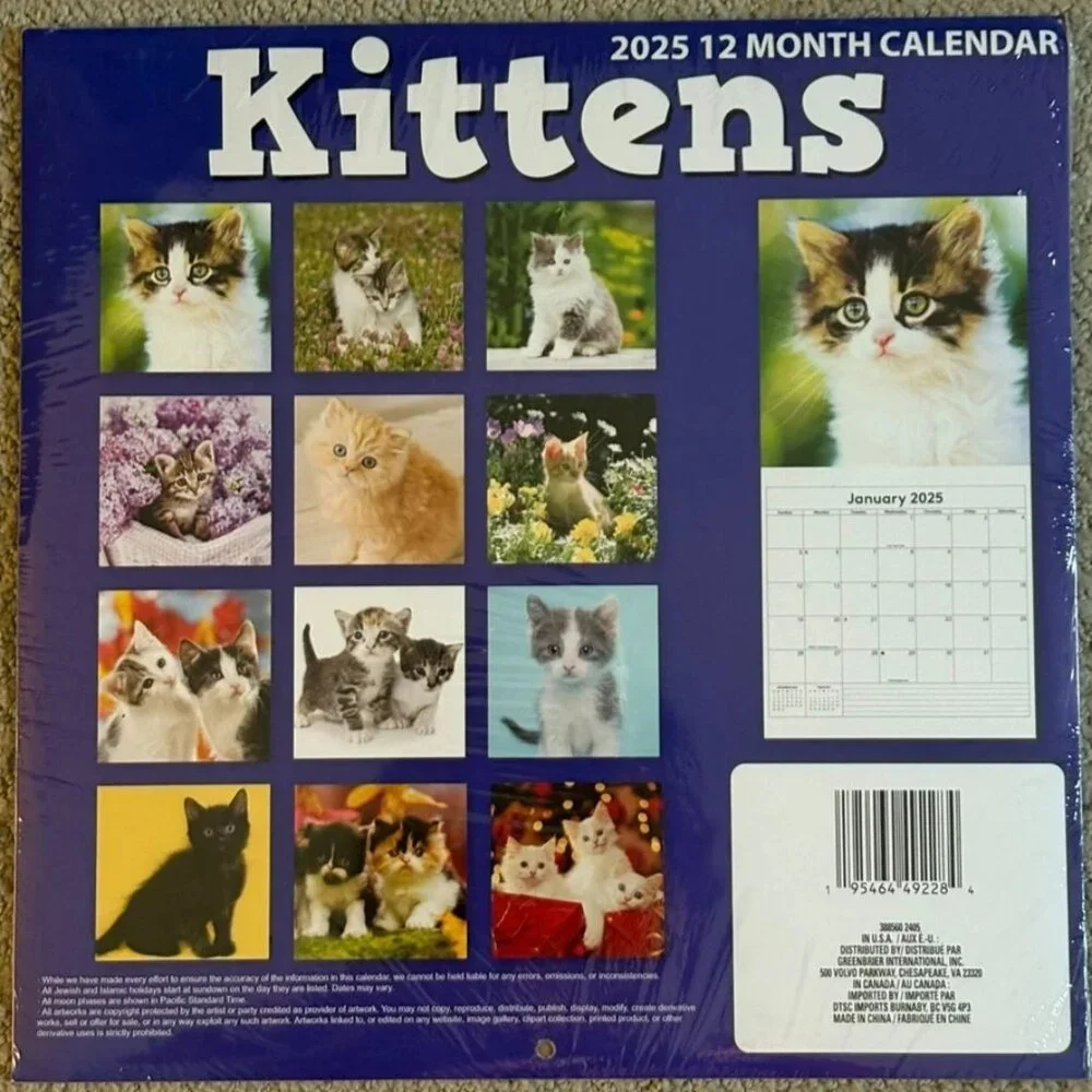 2025 Kittens Wall Calendar Cute Cats 12-Month Animal Planner for Cat Lovers